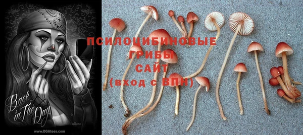 бошки Алексеевка