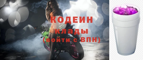 дурь Алзамай