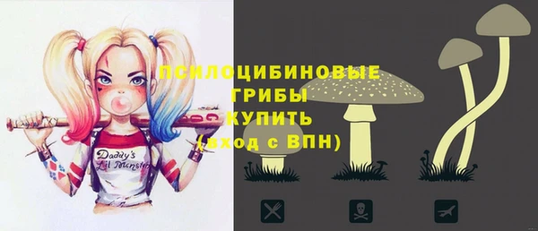 мет Алексин