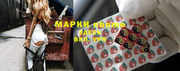 мет Алексин