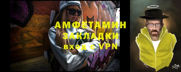 мет Алексин